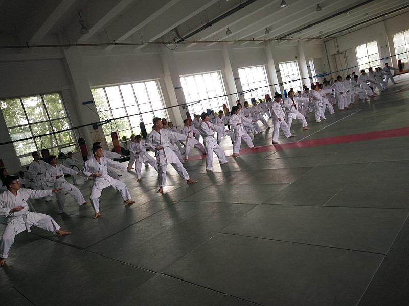 漯河举办全国空手道大众教练员培训班110余教练参与提升技能(图1)