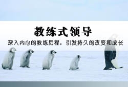 “传统国学大师”如平曾是传销头目(图1)
