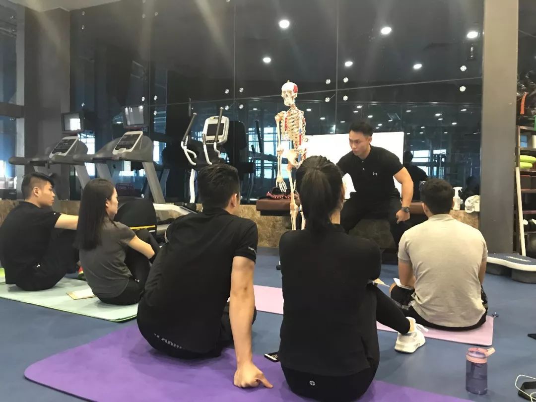 个性化健身服务策略剖析洞察(图1)